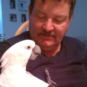 Meet your Posher, Donald